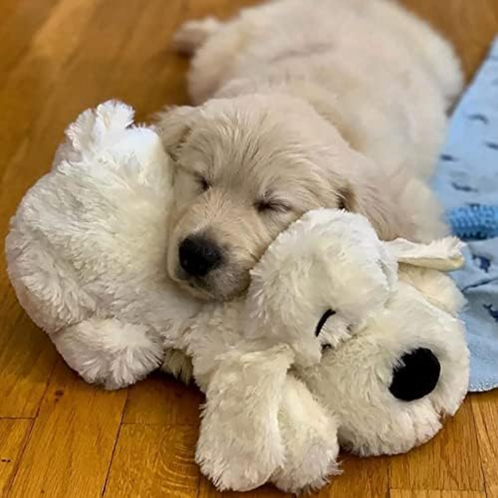 Soft Plush Toy For Puppies