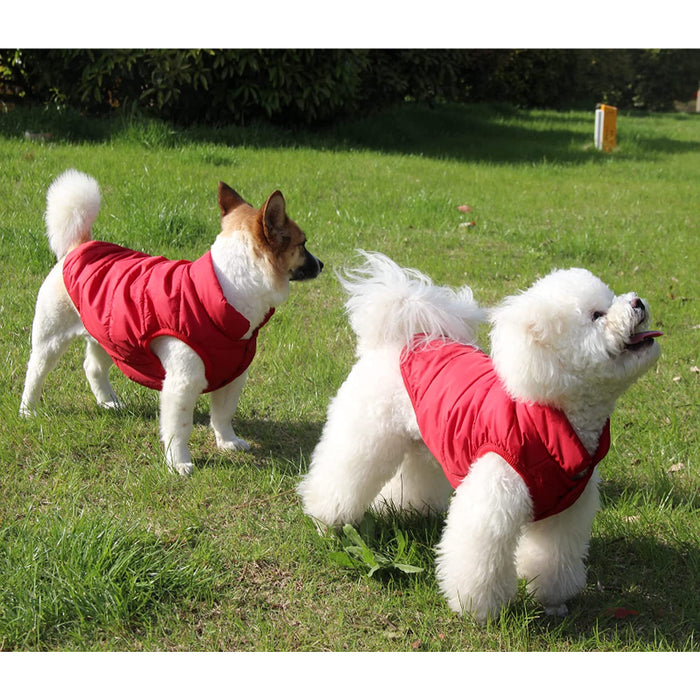 2 Layers Fleece Lined Warm Dog Jacket For Puppy Winter Cold Weather,Soft Windproof Small Dog Coat