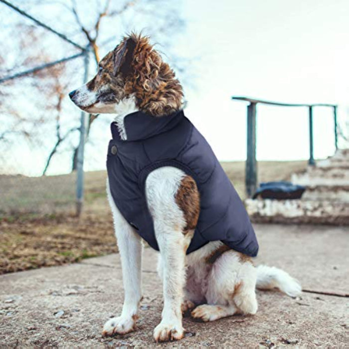 Windproof Dog Winter Coat Waterproof Dog Jacket Warm Dog
