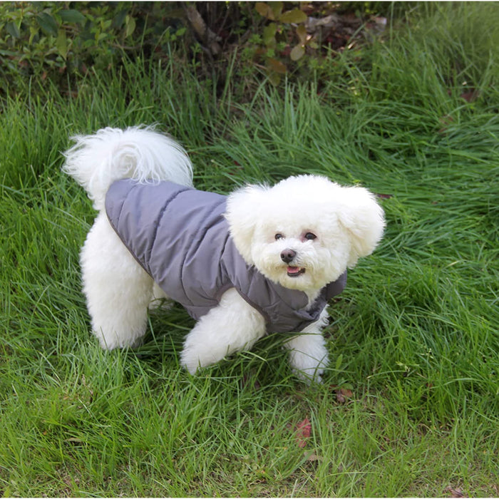 2 Layers Fleece Lined Warm Dog Jacket For Puppy Winter Cold Weather,Soft Windproof Small Dog Coat