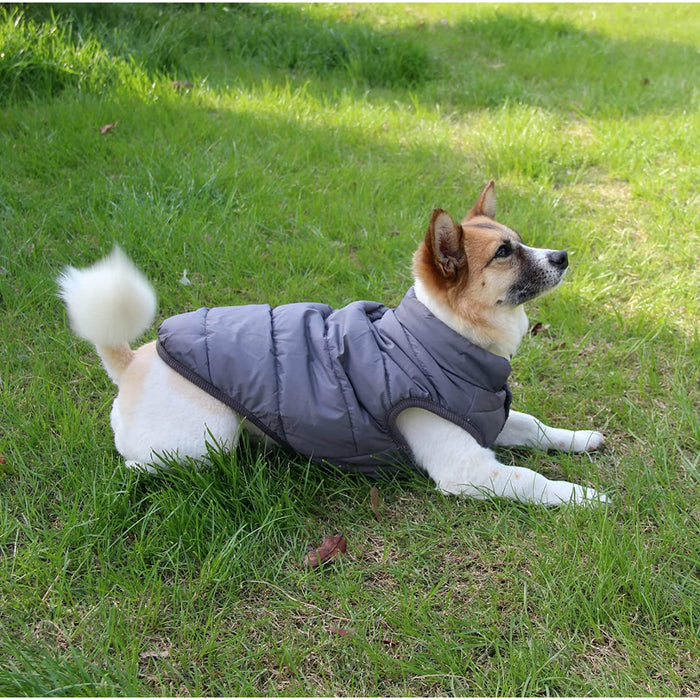 2 Layers Fleece Lined Warm Dog Jacket For Puppy Winter Cold Weather,Soft Windproof Small Dog Coat