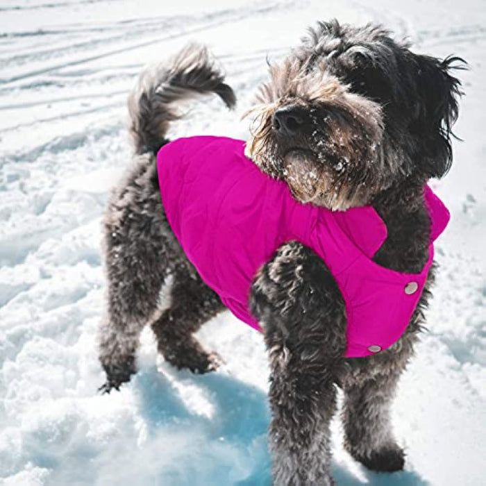 Windproof Dog Winter Coat Waterproof Dog Jacket Warm Dog