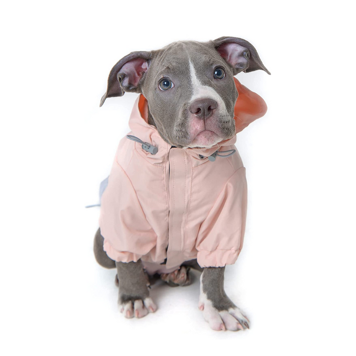 Waterproof Dog Coat With Hoodie Dog With Leash Hole