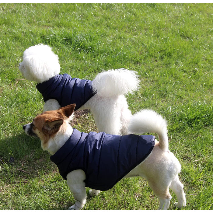 2 Layers Fleece Lined Warm Dog Jacket For Puppy Winter Cold Weather,Soft Windproof Small Dog Coat