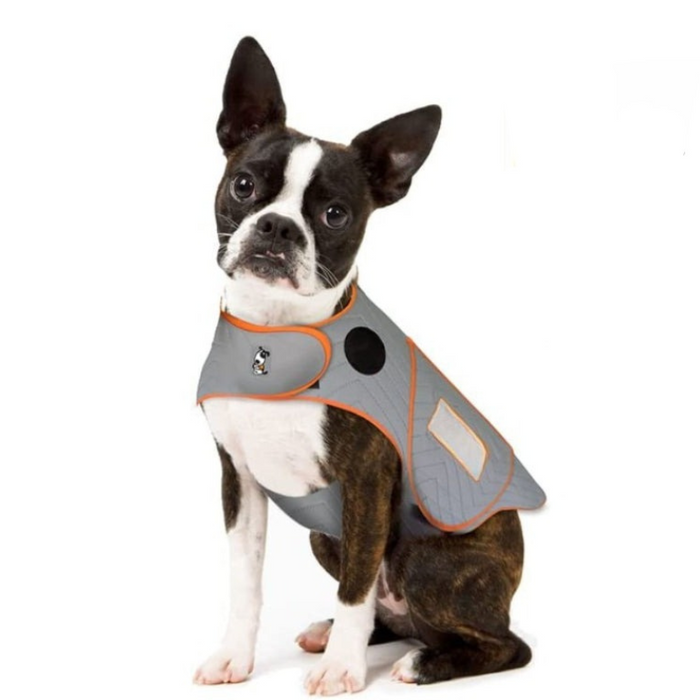 Dog Vest For Travelling