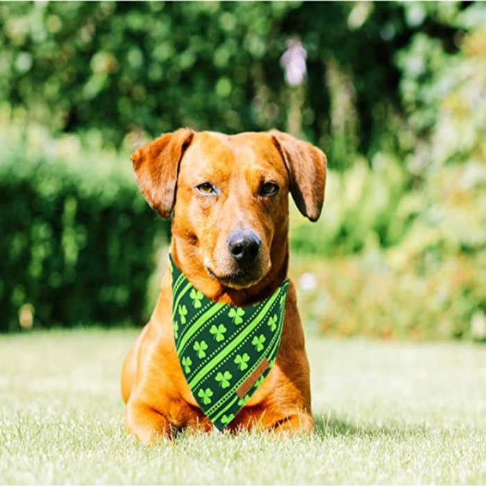 Reversible Green Shamrock Pet Scarf  With Premium And  Durable Fabric