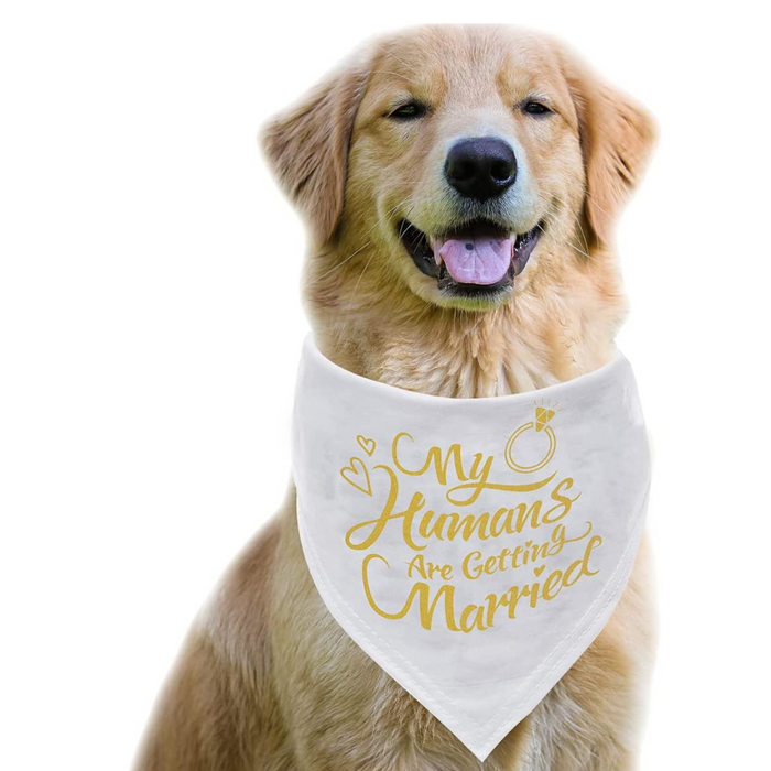 My Humans Are Getting Married Dog Bandana, Wedding Photo Prop, Pet Scarf, Dog Engagement Announcement, Pet Accessories