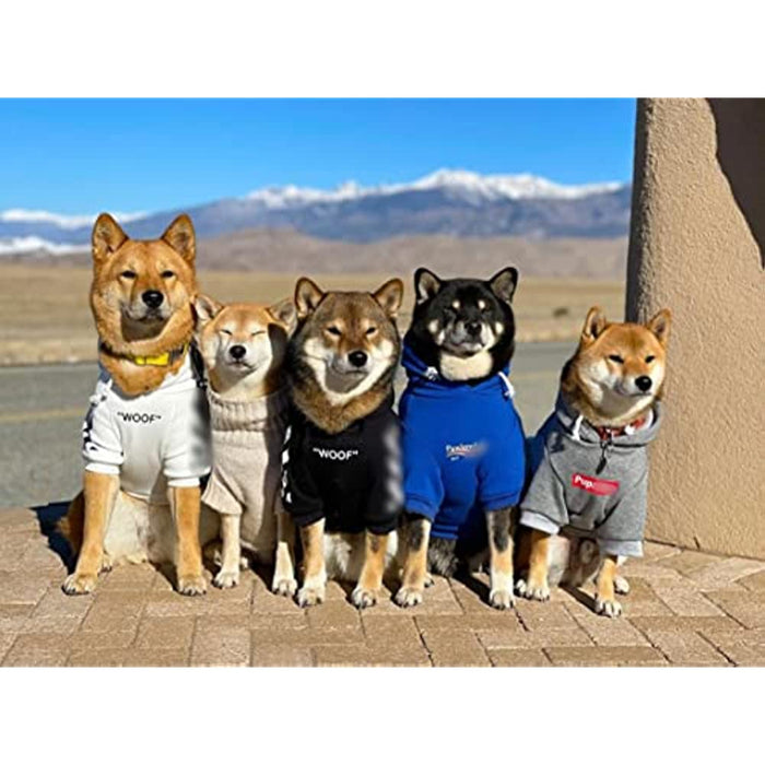 Stylish Dog Hoodie Dog Clothes Streetwear Cotton Sweatshirt Fashion Outfit For Dogs Cats Puppy Small Medium Large