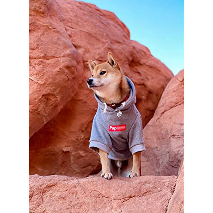 Dog Hoodie Pet Clothing, Cats Hoodies, Stylish Streetwear Gray Dog Sweatshirt Tracksuits, Dog Outfit For Dog Cat Puppy