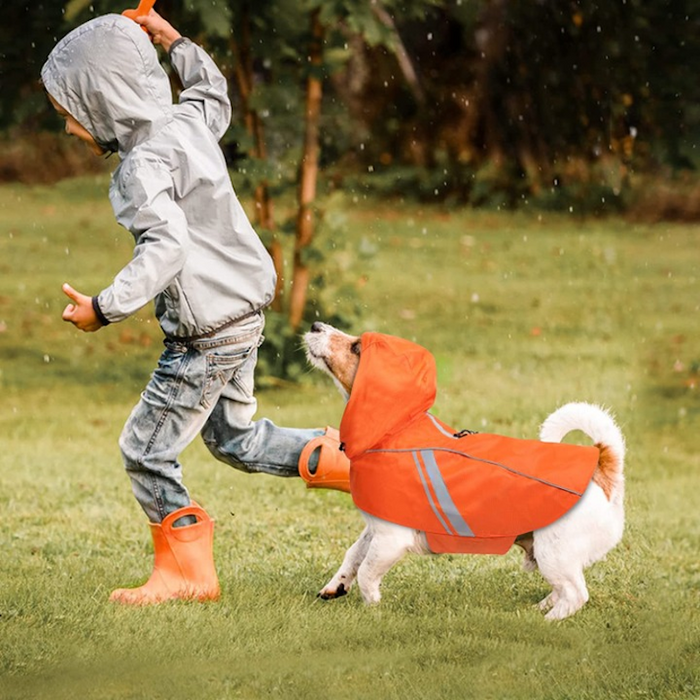 Raincoat For Dogs, Easy On & Off Pet Rain Clothes With Storage Bag