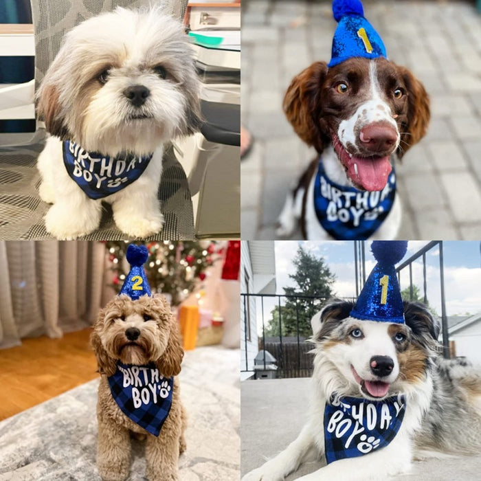 Dog Birthday Party Supplies, Boy Dog Birthday Bandana Scarf And Dog Birthday Hat With Number