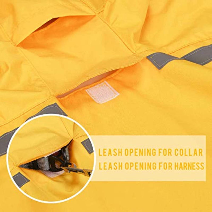 Dog raincoat with adjustable belly strap and leash hole