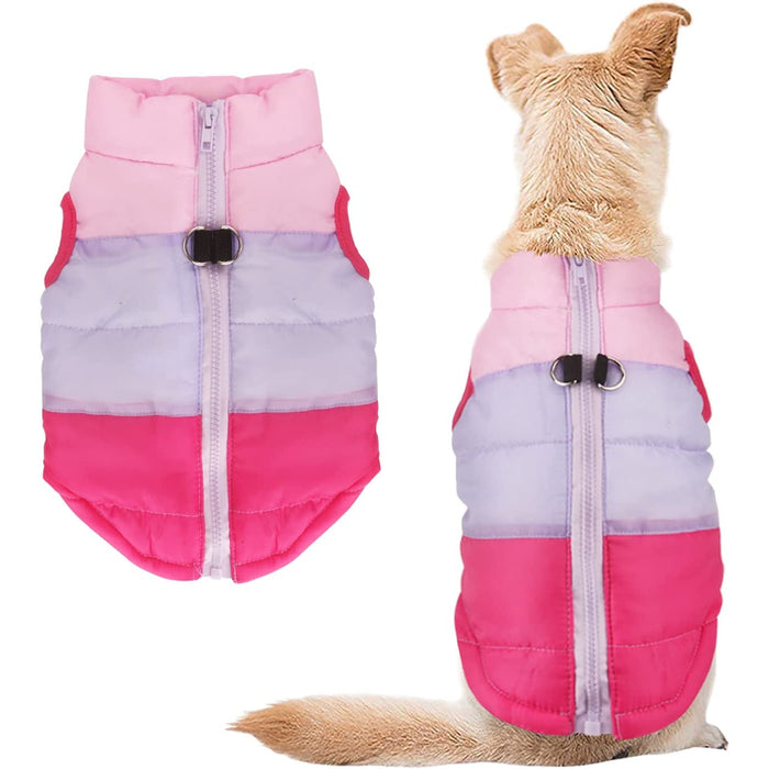 Dog Cat Coat With Leash Anchor Color Patchwork Padded Puppy Vest Jacket Teddy Chihuahua Costumes