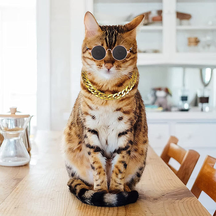 Cat Sunglasses & Gold Chain Costume Decorations For Funny Photo Props