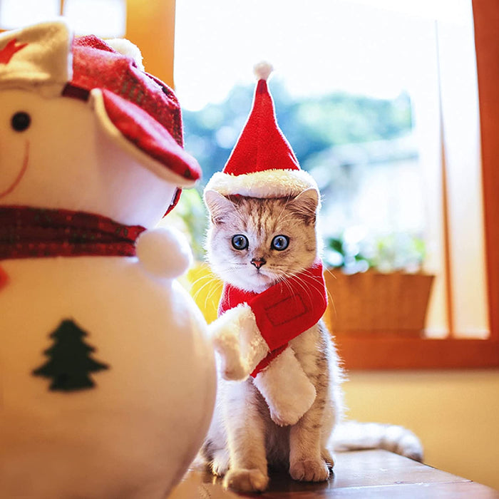 Pet Hat: Santa, Birthday, Halloween, Christmas