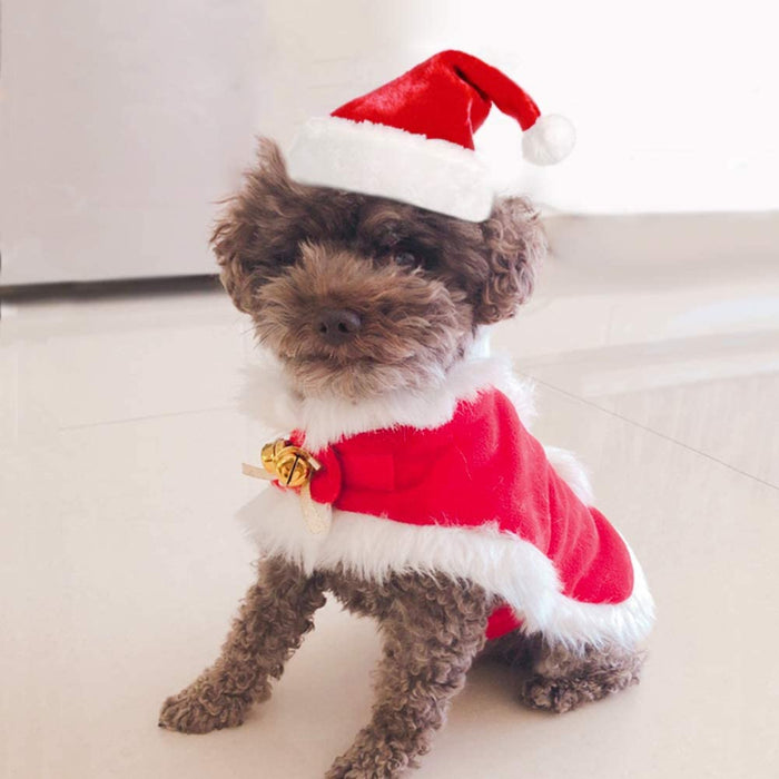 Pet Hat: Santa, Birthday, Halloween, Christmas
