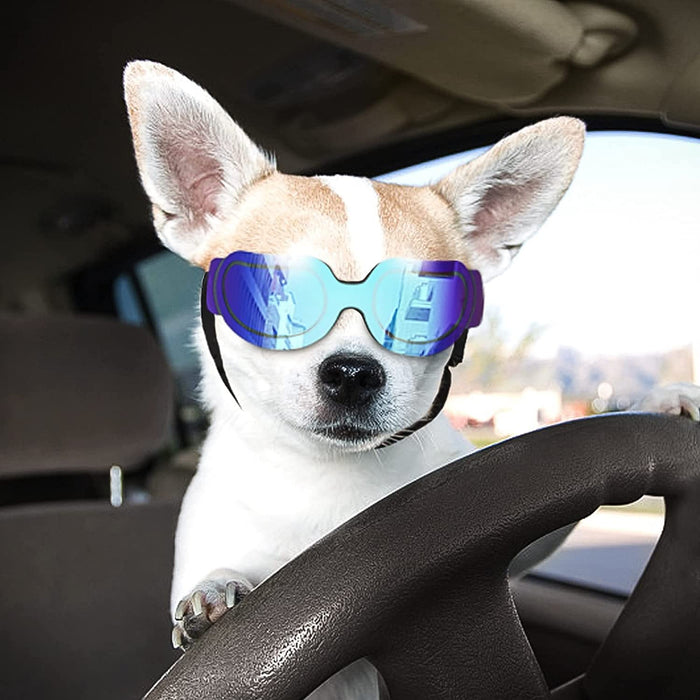 Small Dog Goggles UV Protection Adjustable Clear Doggy Sungalsses Easy Wear Windproof Motorcycle Puppy Glasses