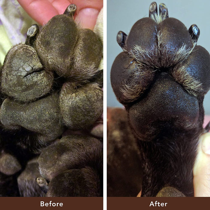 Natural Dog Company Paw Soother Tin Cracked, And Rough Paws