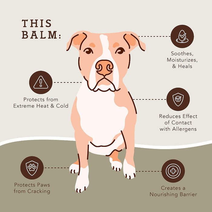 Paw Tection Balm Stick For Dogs Veterinarian-Approved