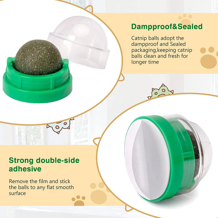 Catnip Ball For Cats Lick A Safe Healthy Kitten Chew Toys