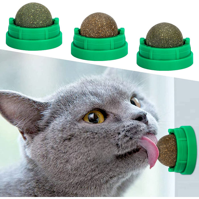 Catnip Ball For Cats Lick A Safe Healthy Kitten Chew Toys