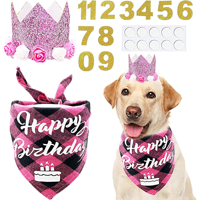 Crown Dog Birthday Party Hat For Pets With Figures And With Glue Dots