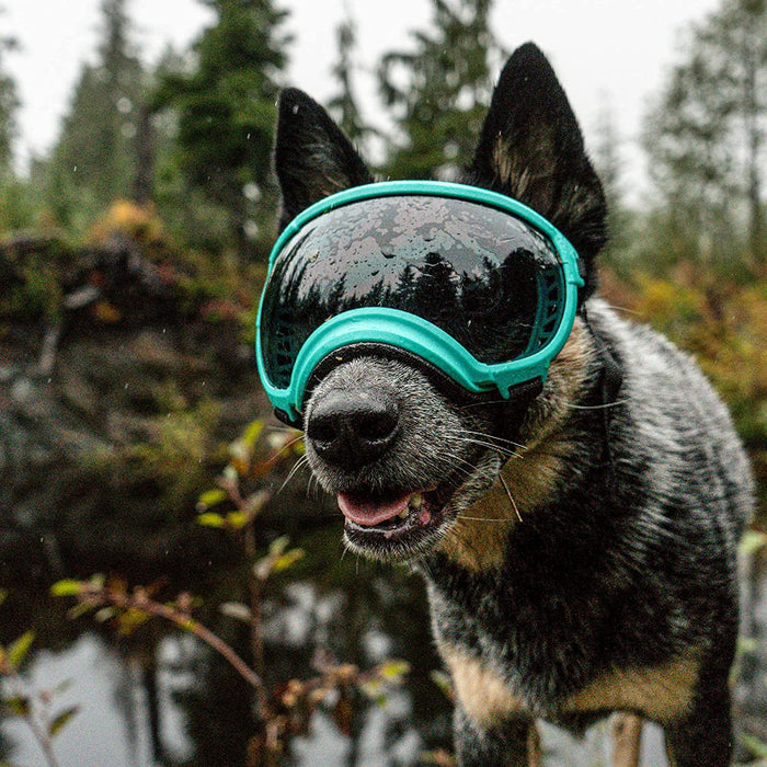 Dog Sunglasses Dog Goggles, UV Protection Wind Protection Dust Protection Fog Protection Pet Glasses