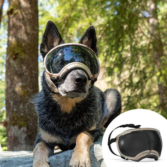 Dog Sunglasses Dog Goggles, UV Protection Wind Protection Dust Protection Fog Protection Pet Glasses