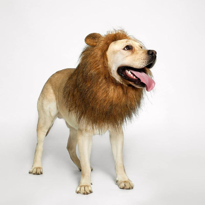 Realistic & Funny Lion Mane For Dogs Stylish Mane Wig