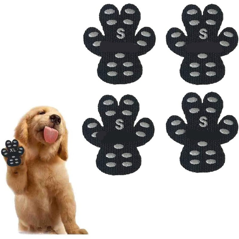 Boots & Paw Protectors