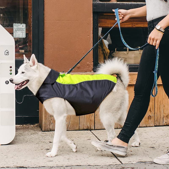 Dog Raincoat Waterproof Lightweight & High Visibility Dog Coat Jacket For Small Medium Large Dogs