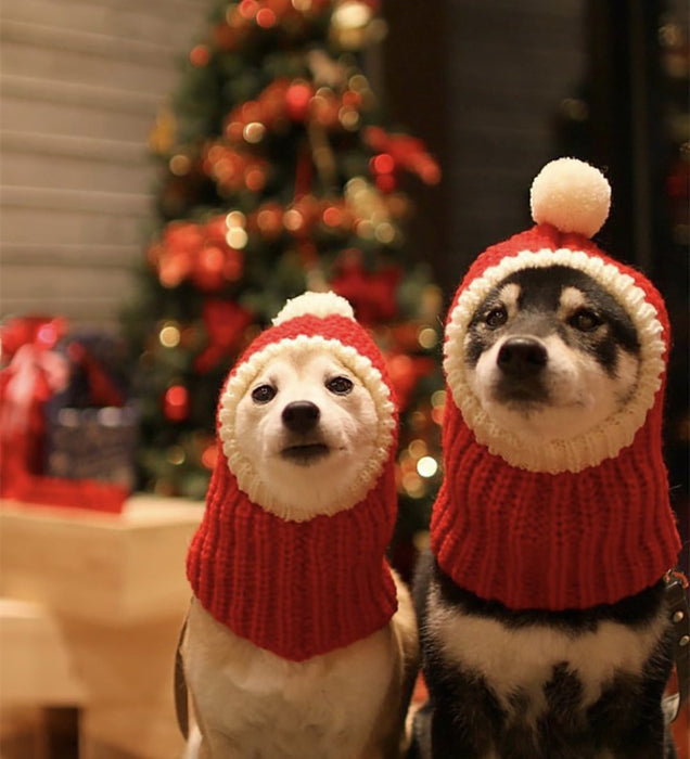 Knitted Warm Hat For Dogs