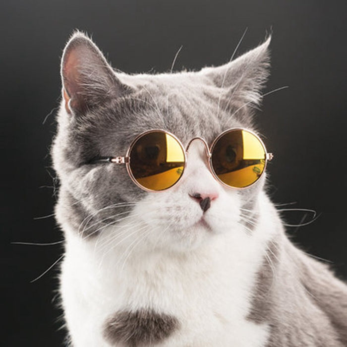 Pet Sunglasses for Dogs and Cats