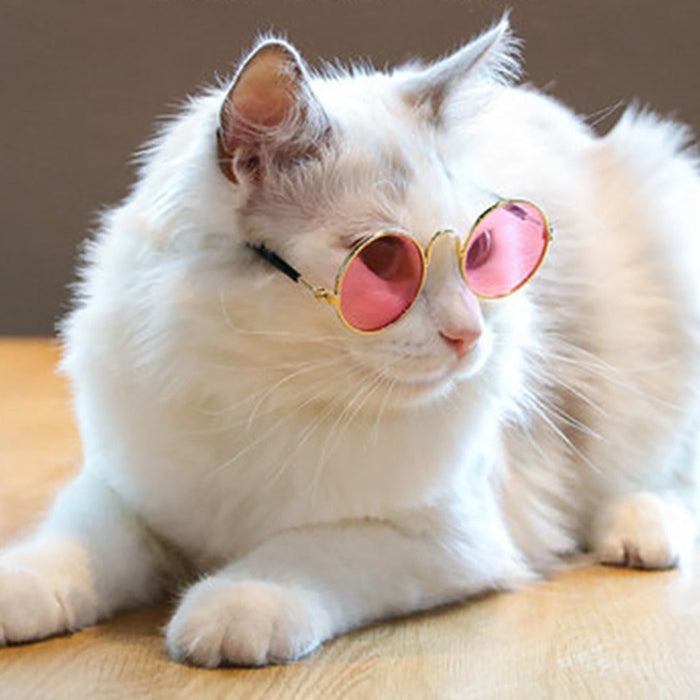 Pet Sunglasses for Dogs and Cats