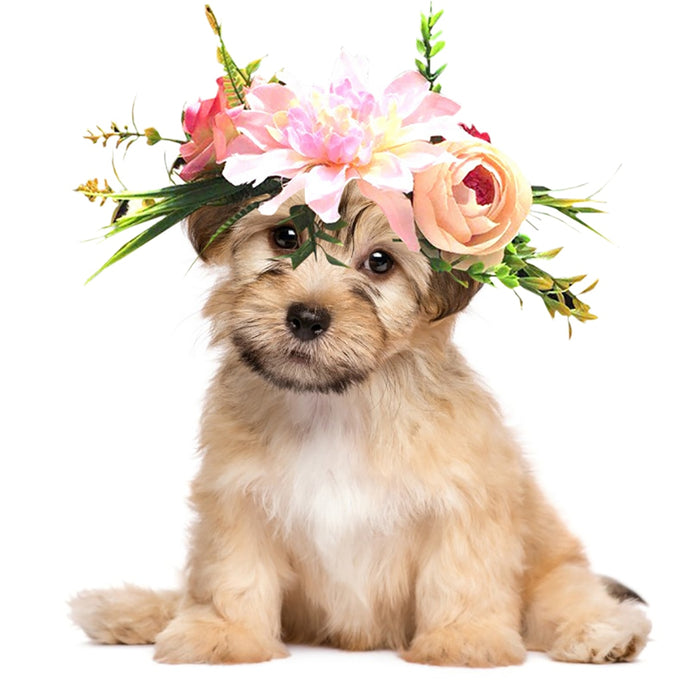 Flower Headband For Dogs
