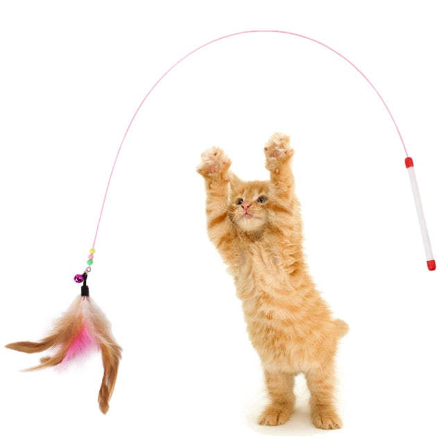Perfect Cat Toys