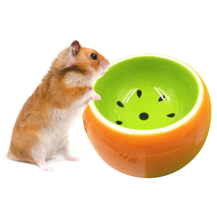 Fruit Pattern Bowl for Hamsters