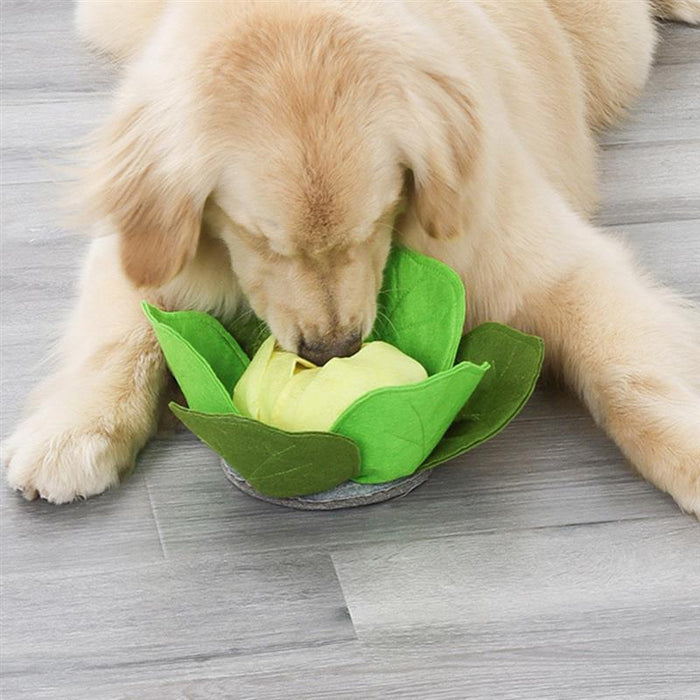 Cabbage-Shaped Snuffle Mat For Dog