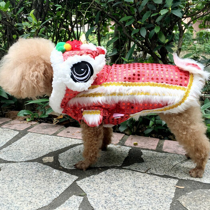 Party Costume For Dogs
