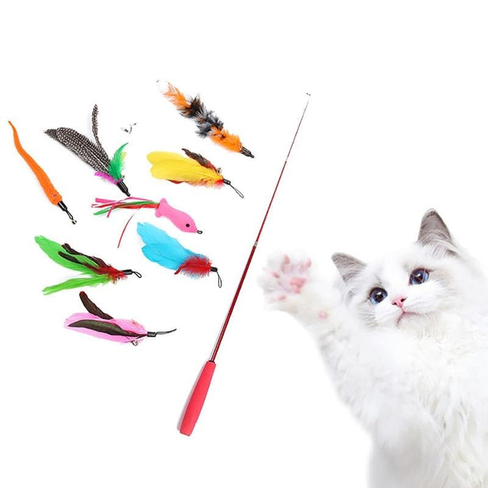 8 Piece Extendable Wand Set for Cat