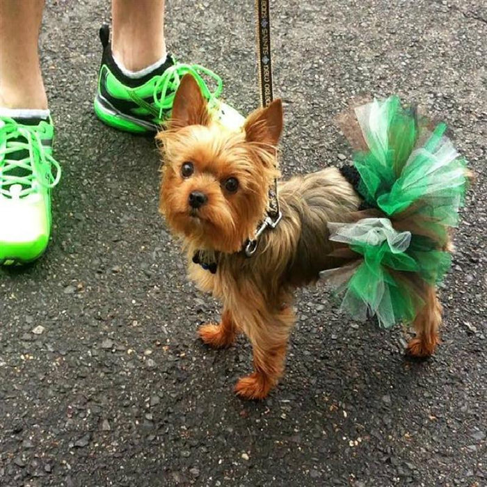 Colorful Tutu Skirts For Dogs