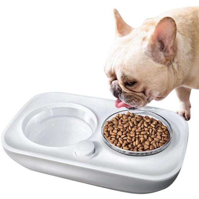 2 In 1 Pet Food Bowls For Dog