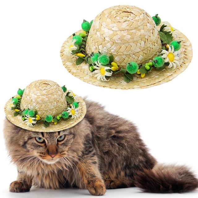 Creative Straw Hat For Cats