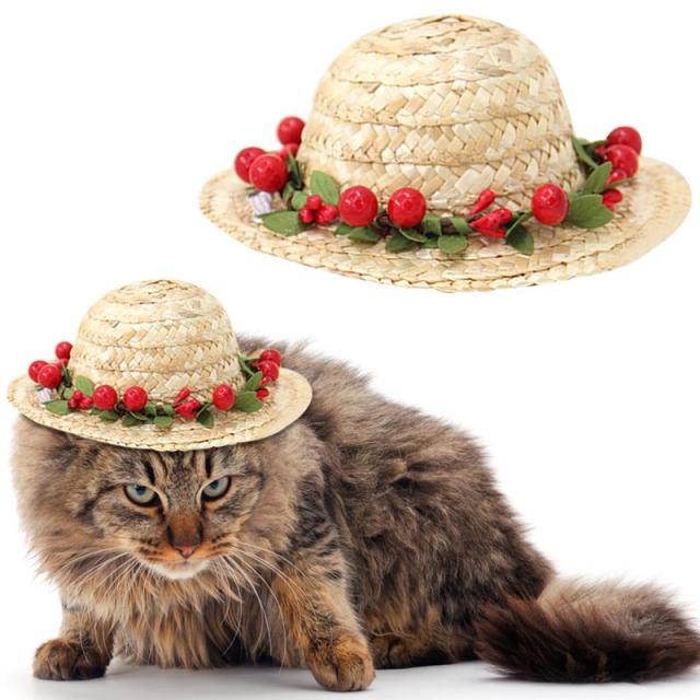 Creative Straw Hat For Cats