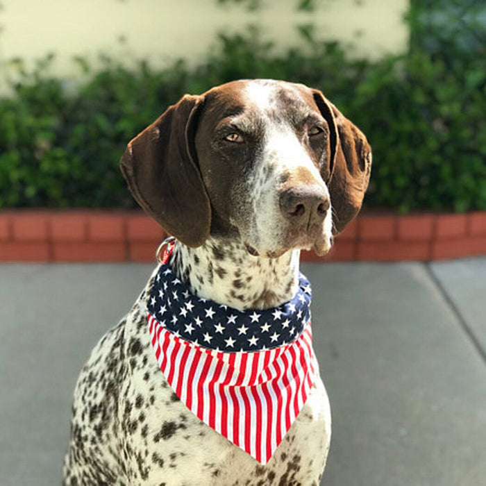American Flag Bandana For Dogs