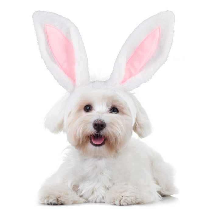 Bunny Ears Headband For Dog