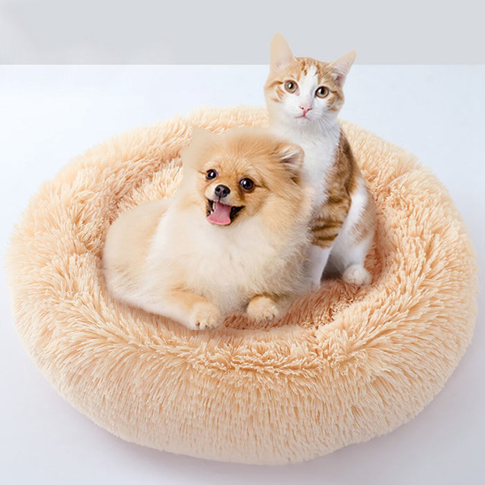 Plush Beds For Cats