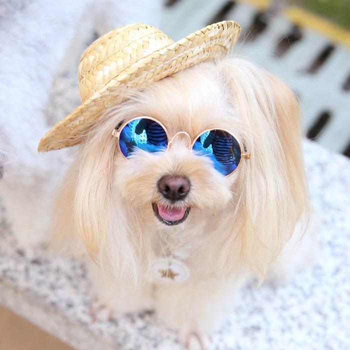 Adjustable Straw Hat For Dogs