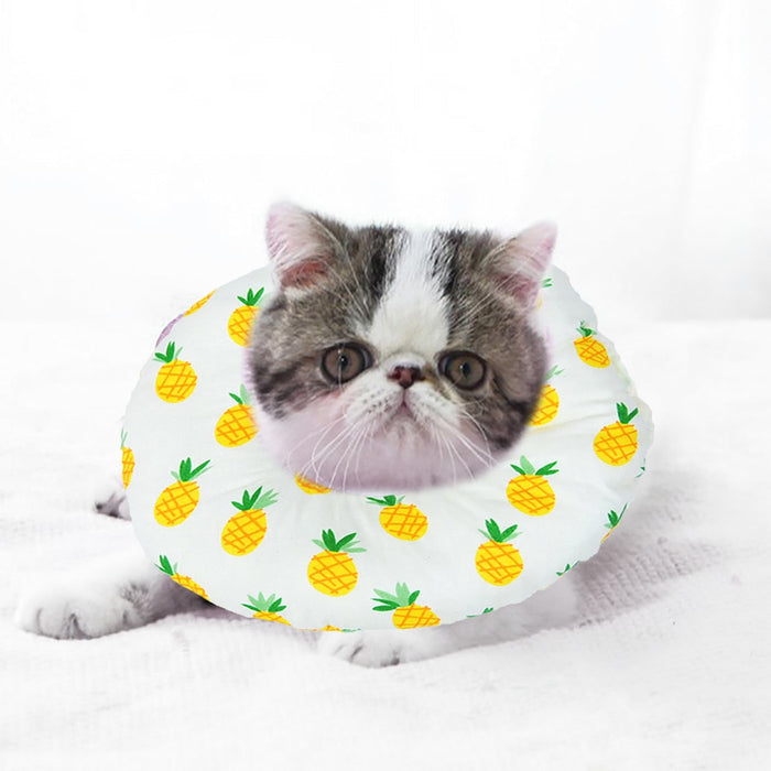 Soft Sponge Cat Recovery Collar