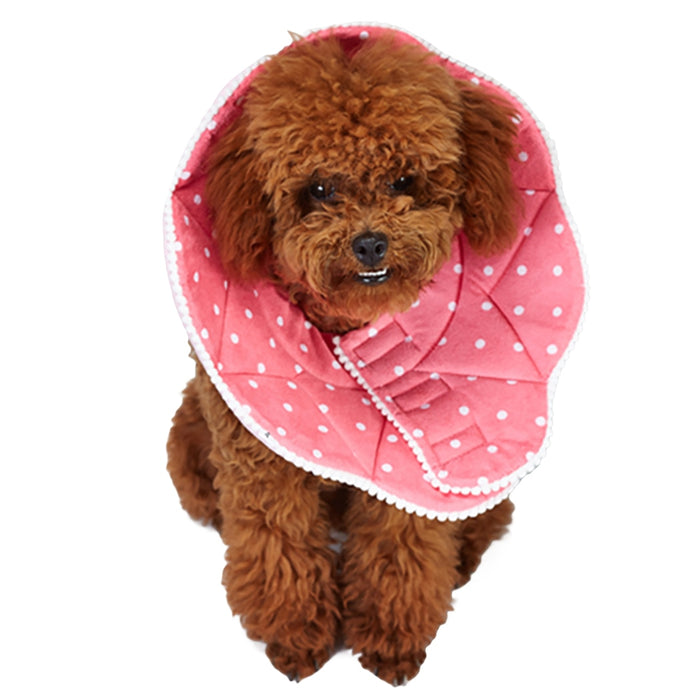 Cute Flower Shape Recovery Collars For Dogs